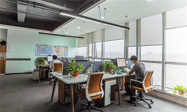 公司展示
